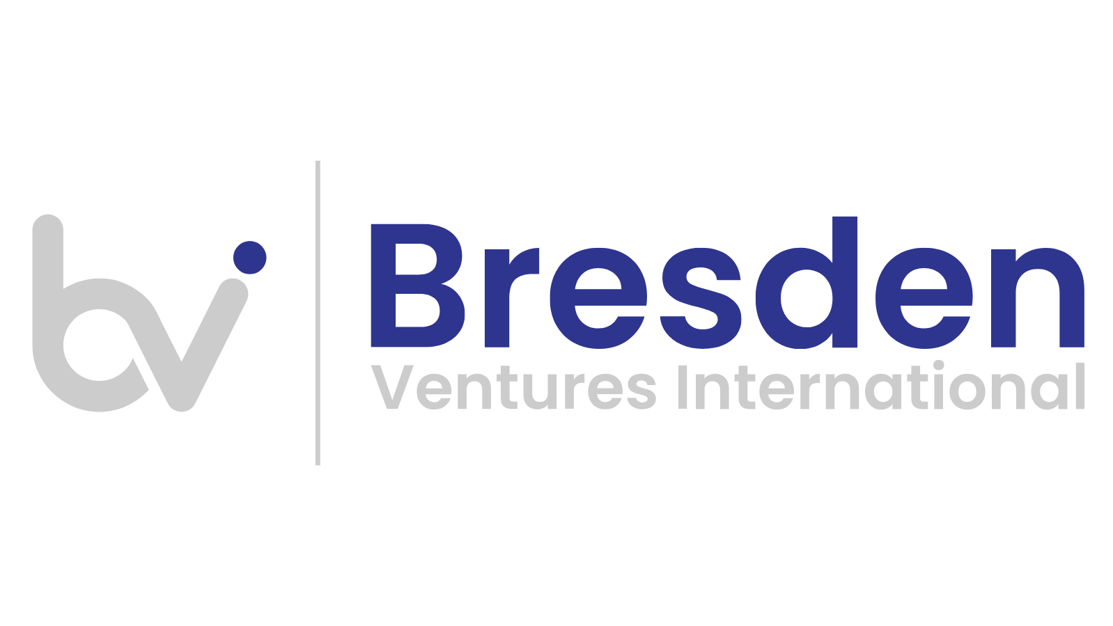 BVI logo-1